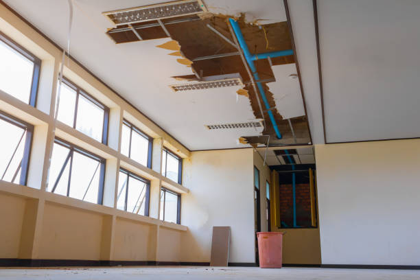 Best Flood restoration services  in Live Oak, FL