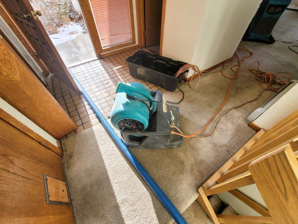 Best Water damage restoration near me  in Live Oak, FL