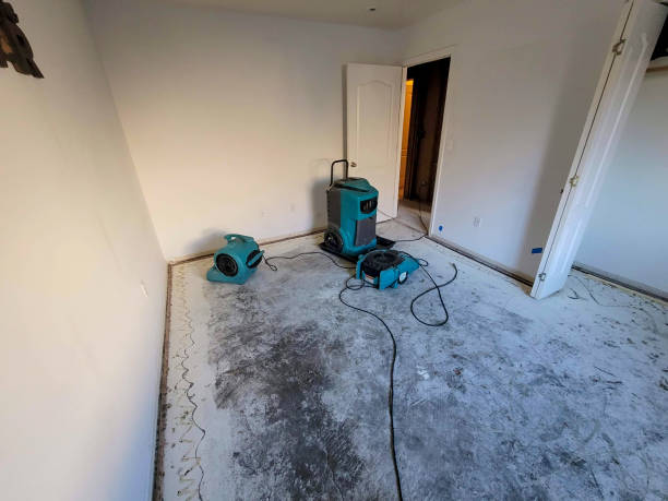Best Emergency water extraction  in Live Oak, FL