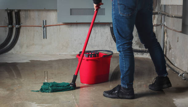 Best 24/7 water damage repair  in Live Oak, FL