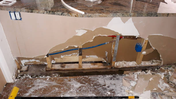 Best 24-hour water damage restoration  in Live Oak, FL