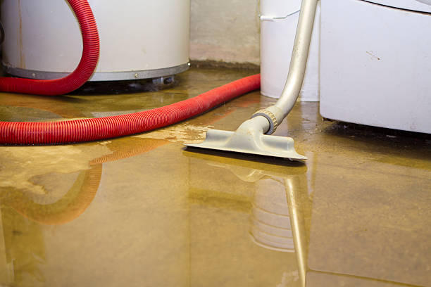 Best Water damage cleanup near me  in Live Oak, FL
