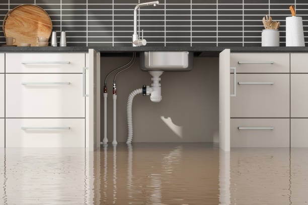 Best Fire Damage Restoration  in Live Oak, FL
