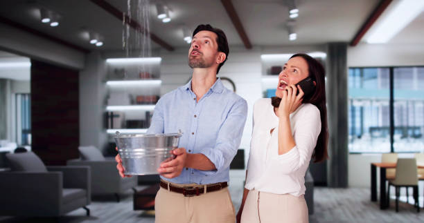Best Water damage contractors near me  in Live Oak, FL