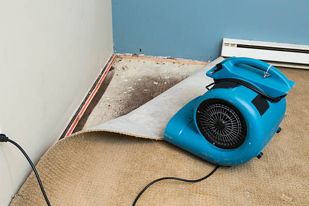 Best Water damage restoration near me  in Live Oak, FL